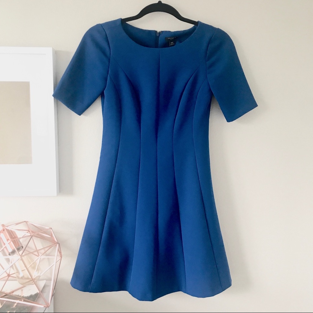 Ann Taylor Fit and Flare dress